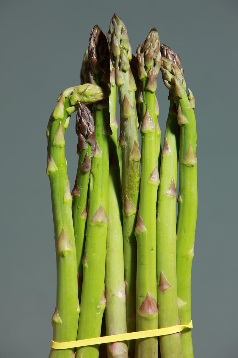 Cooked Asparagus